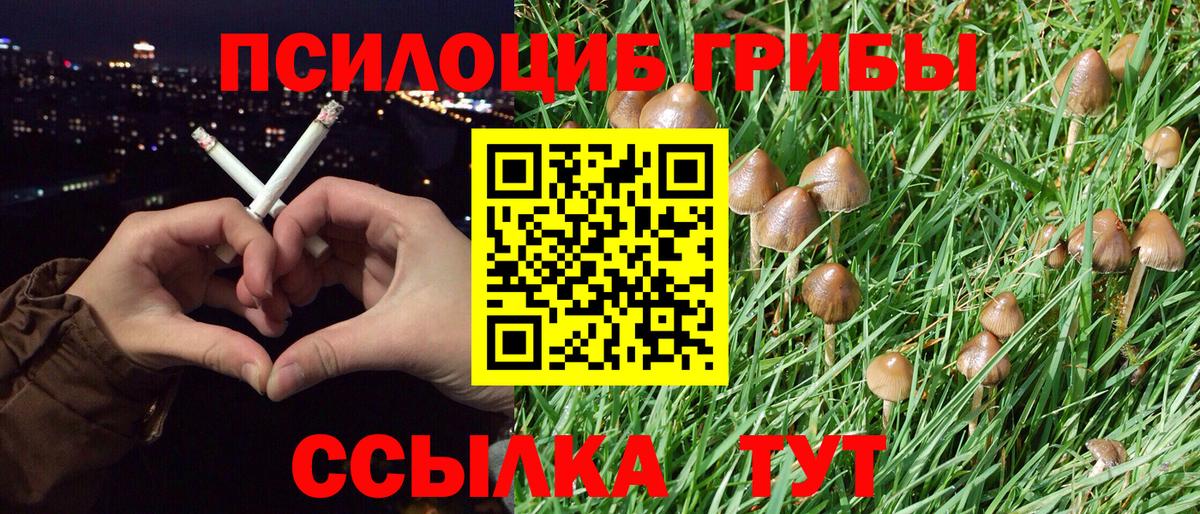 Псилоцибиновые грибы MAGIC MUSHROOMS Джанкой